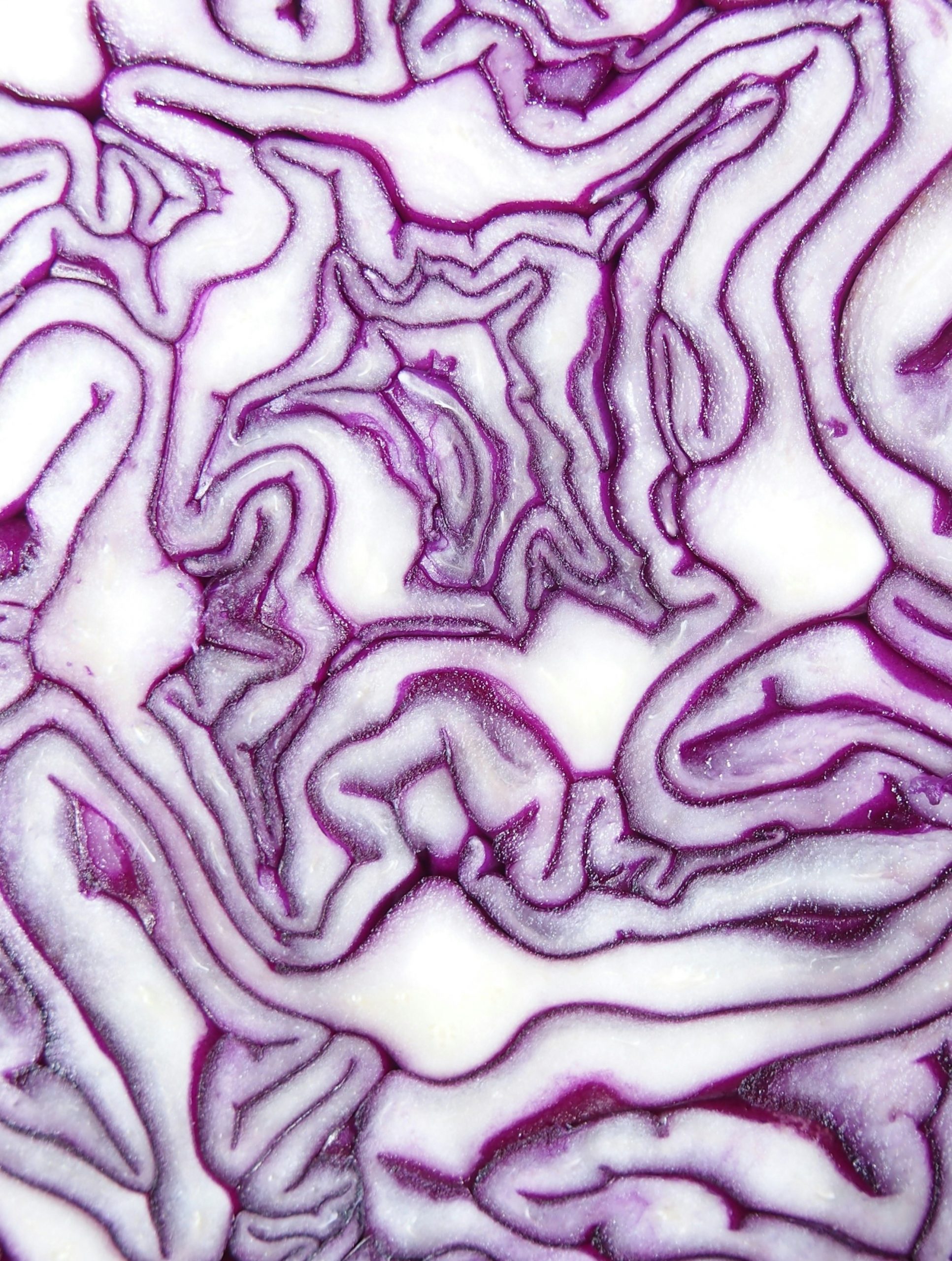 Geschnittener Rotkohl – Symbol für Darmgesundheit und ganzheitliches Wohlbefinden